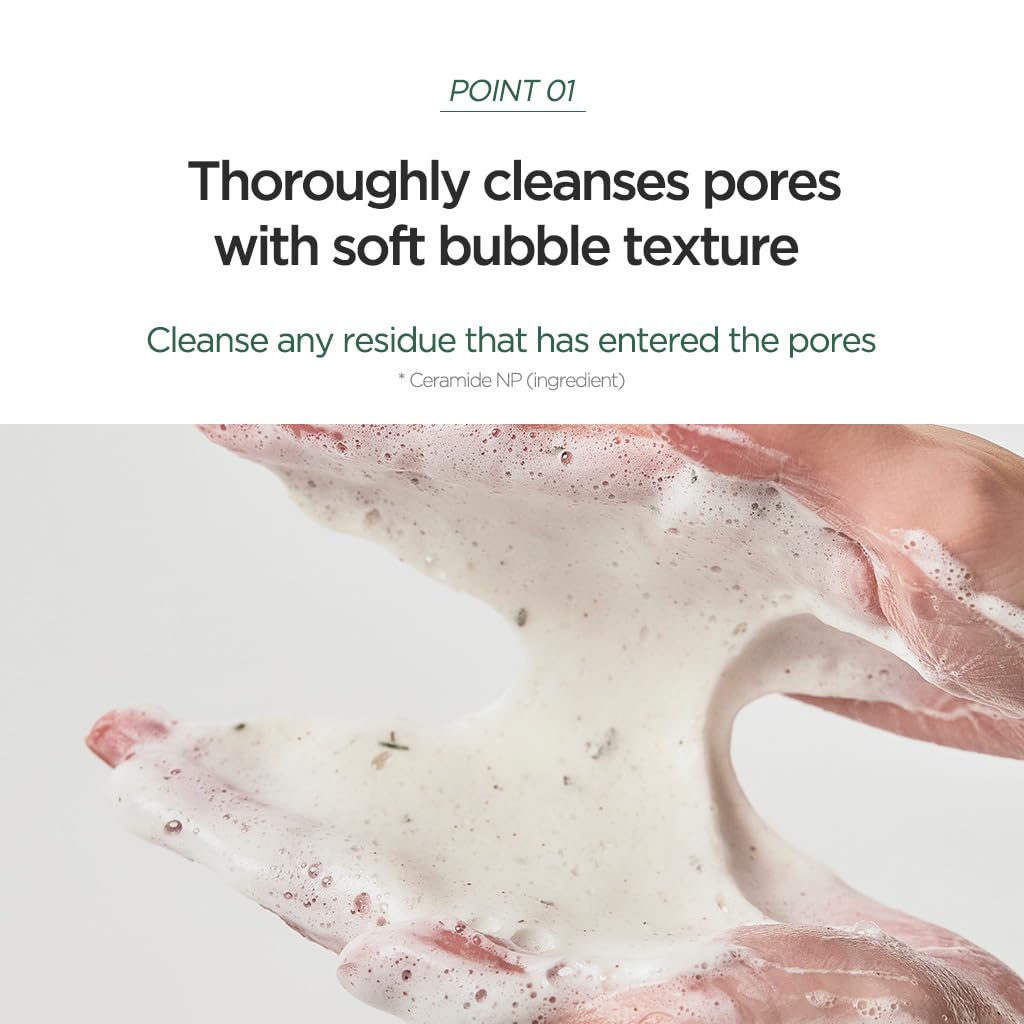 Anua Heartleaf Quercetinol Pore Deep Cleansing Foam